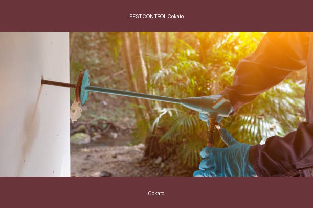 PEST CONTROL Cokato